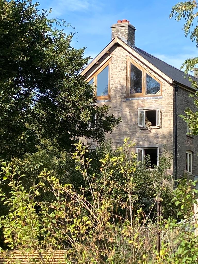 Photo of The Old Storehouse from the canal